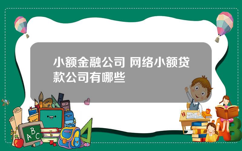 小额金融公司 网络小额贷款公司有哪些